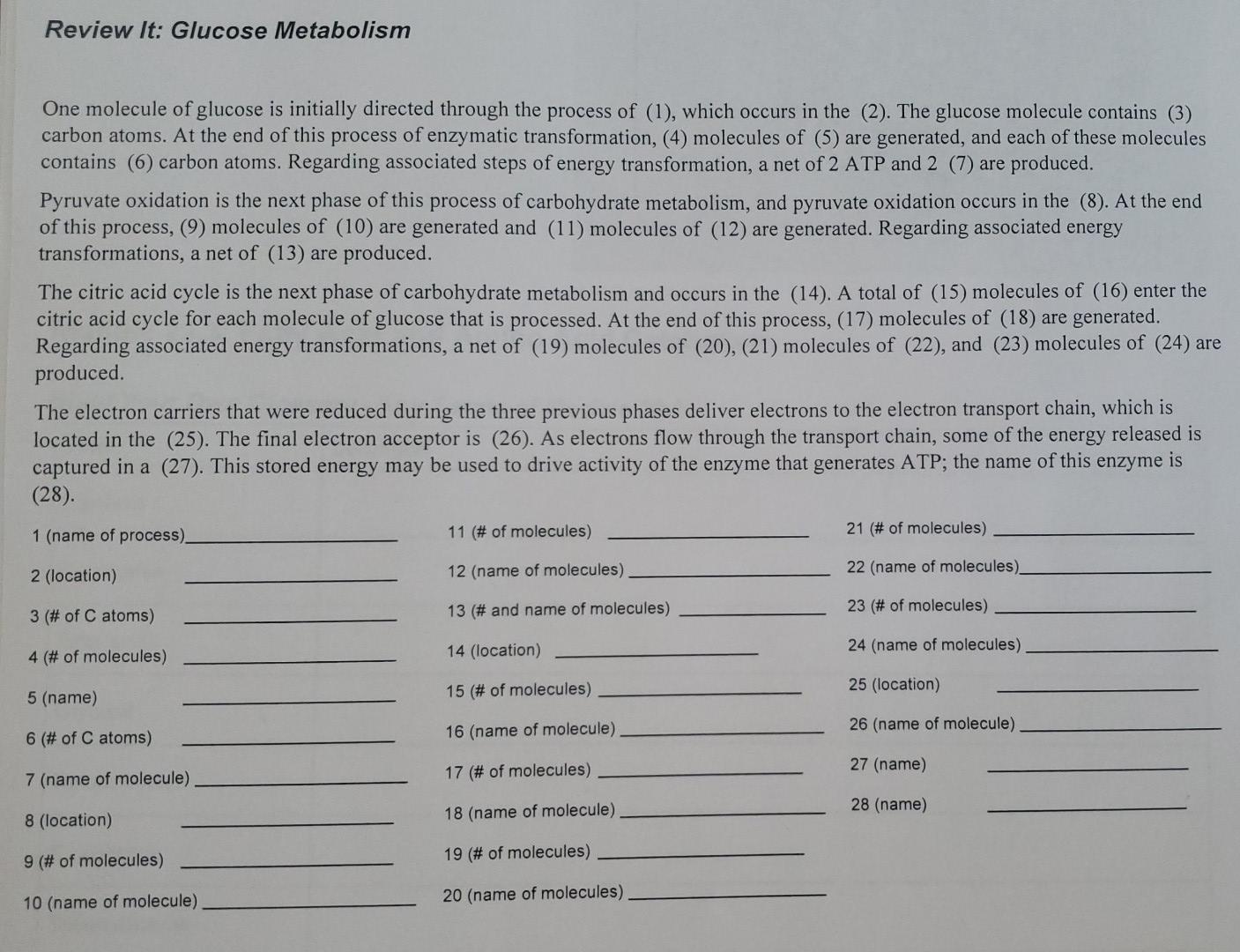 Solved Review It: Glucose Metabolism One molecule of glucose | Chegg.com