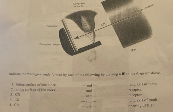 Solved Indicate The 90 Degree Angle Formed By Cach Of The