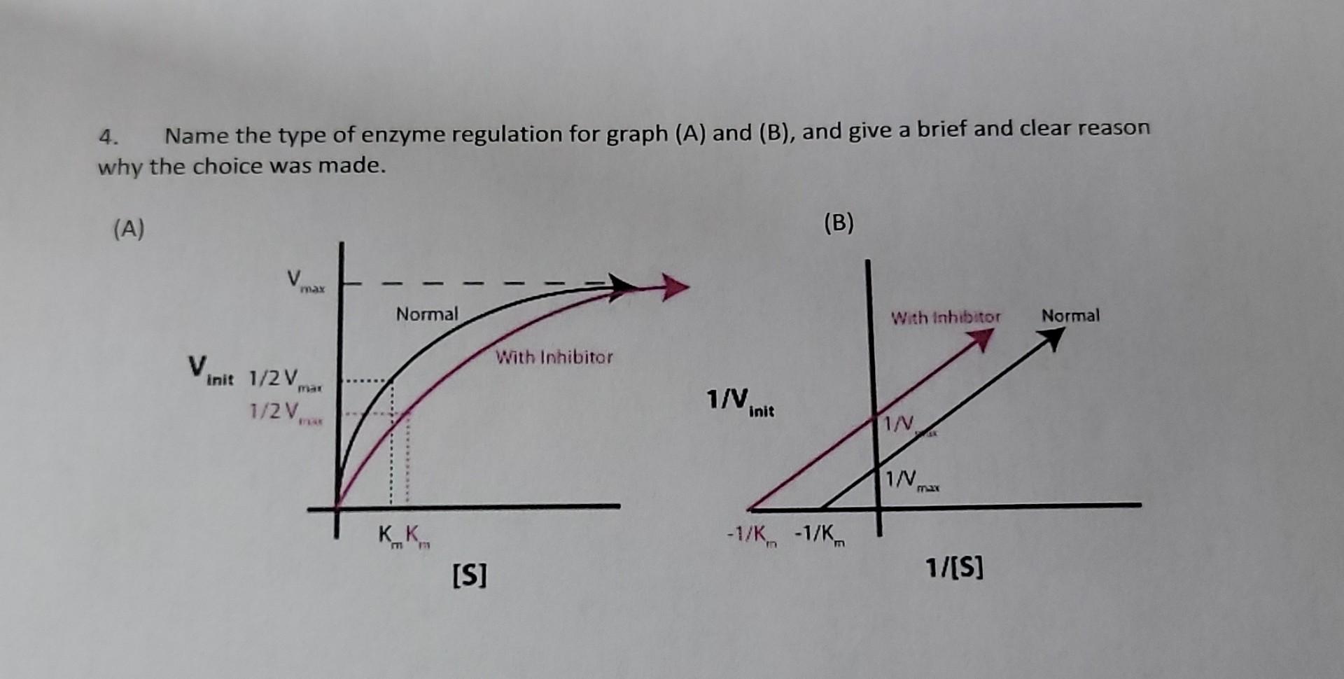 Solved 4. Name the type of enzyme regulation for graph (A) | Chegg.com