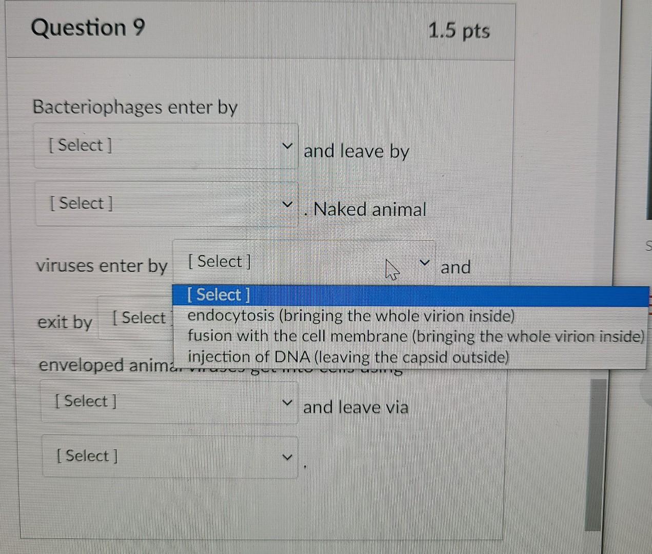 solved-question-7-1-pts-put-the-steps-in-a-negative-sense-chegg