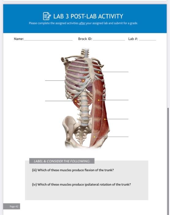 Solved ELAB 3 POST-LAB ACTIVITY Please complete the assigned | Chegg.com