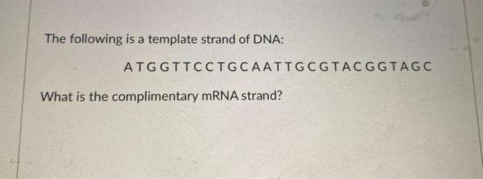 Solved The following is a template strand of DNA: | Chegg.com