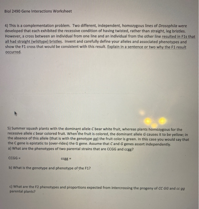 Solved Biol 2490 Gene Interactions Worksheet 4) This is a | Chegg.com