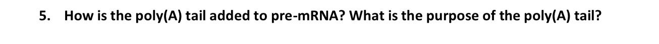 Solved How is the poly(A) ﻿tail added to pre-mRNA? What is | Chegg.com
