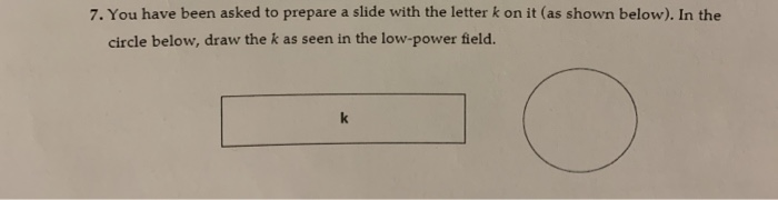 Solved 7 You have been asked to prepare a slide with the Chegg com