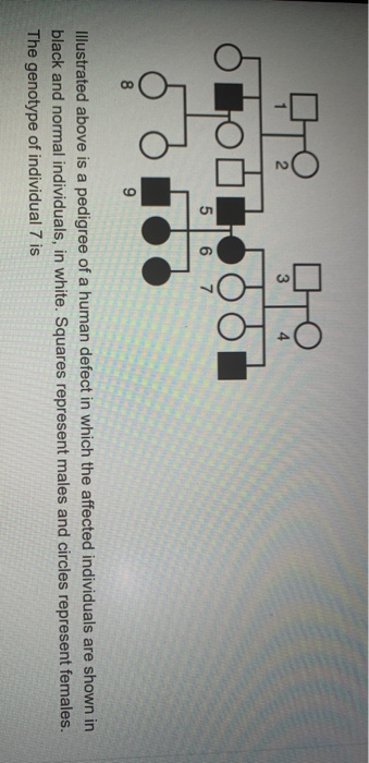 bio-101-lab-02-macromolecules-with-lab-simulation-to-submit-this