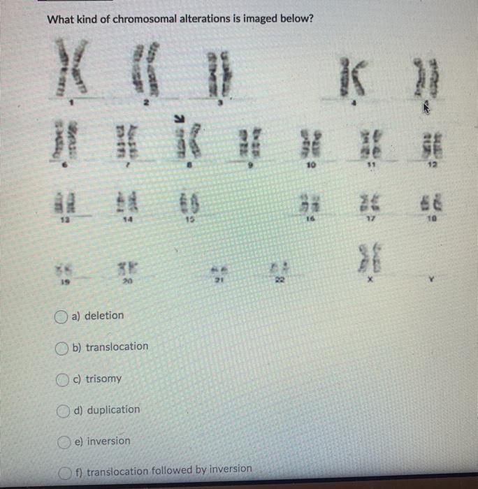 Solved The image shown below is a karyotype of an individual | Chegg.com