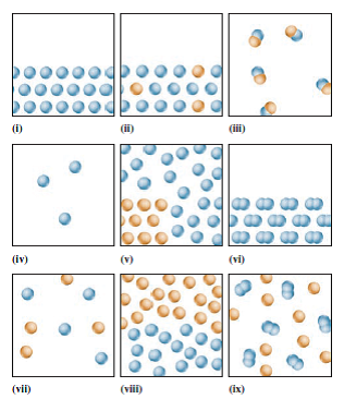 Solved: Answer the following questions using figures (i) to (ix ...