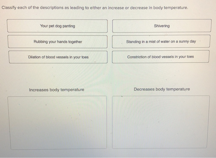 Solved Classify Each Of The Descriptions As Leading To Ei