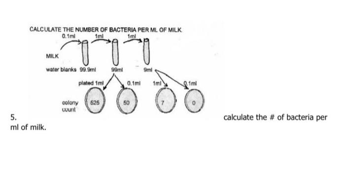 solved-c-5-calculate-the-of-bacteria-per-ml-of-milk-chegg