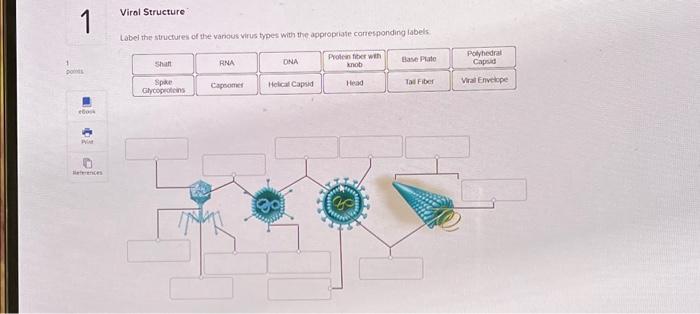 Solved Label the stuctures of the vanous virus types with | Chegg.com