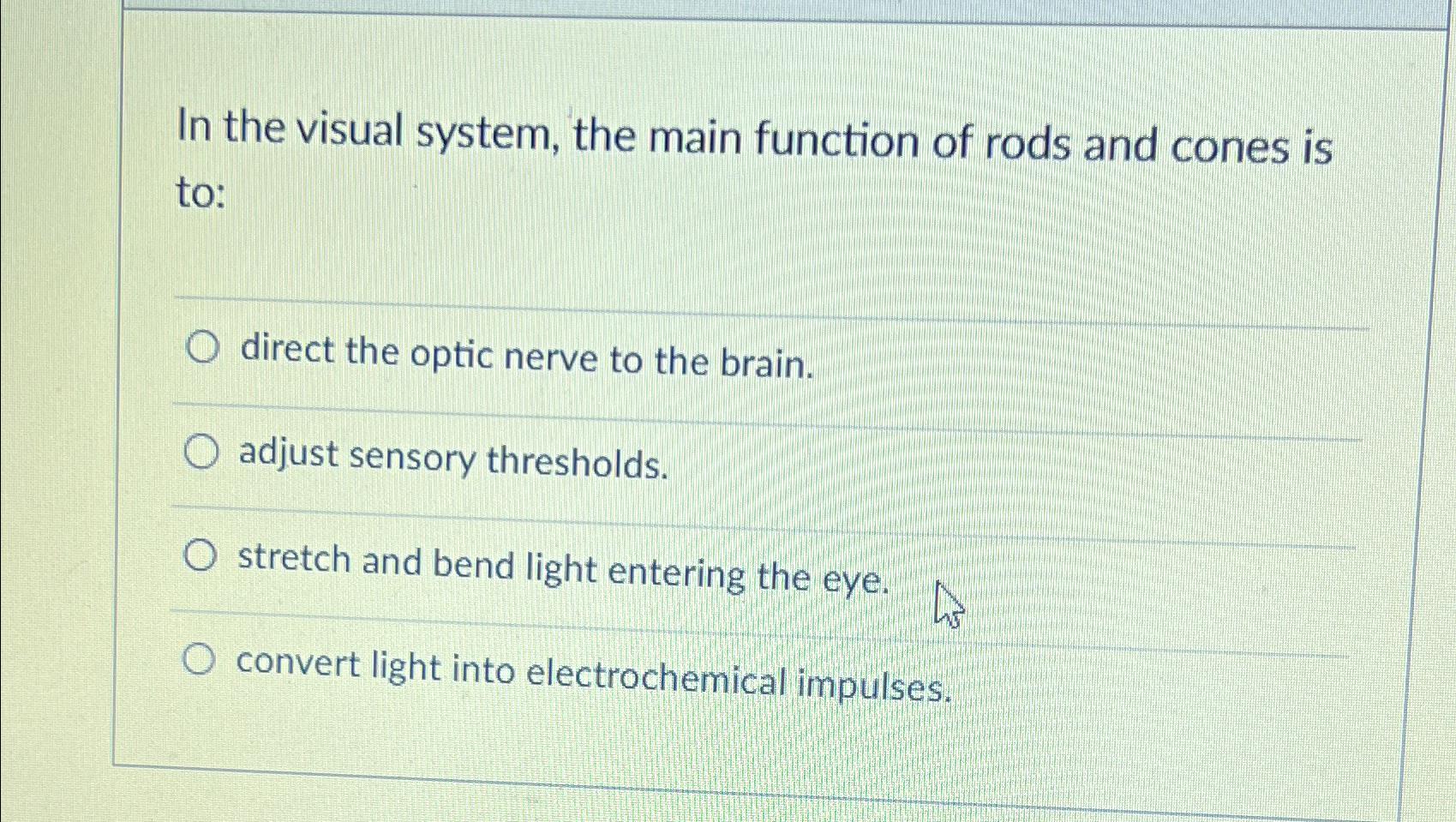 Solved In the visual system, the main function of rods and