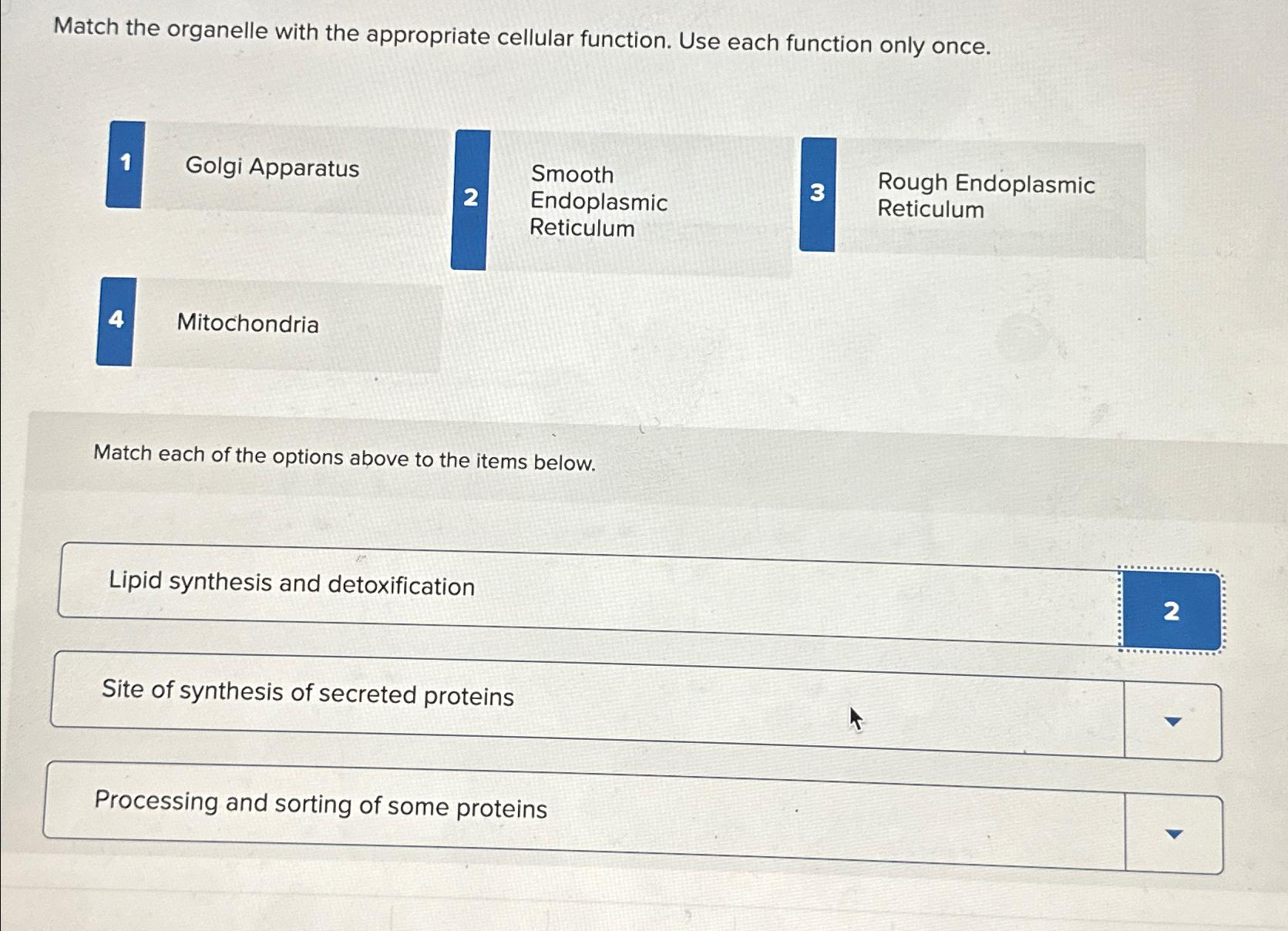 Solved Match the organelle with the appropriate cellular | Chegg.com