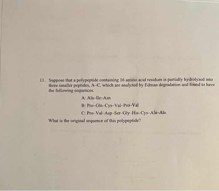 Solved 11. Suppose that a polypeptide containing 16 amino | Chegg.com
