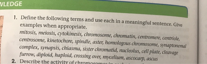 Solved VLEDGE 1 Define The Following Terms And Use Each In Chegg