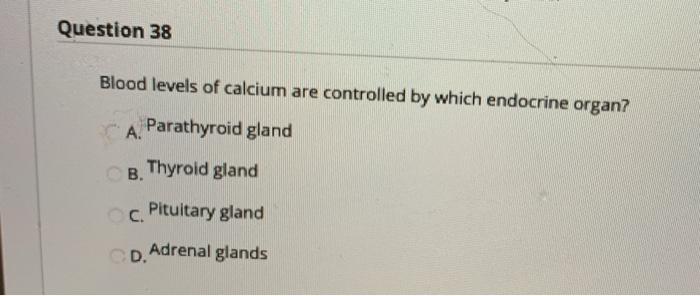 Question 38 Blood levels of calcium are controlled by which endocrine organ? A. Parathyroid gland B. Thyroid gland C. Pituita