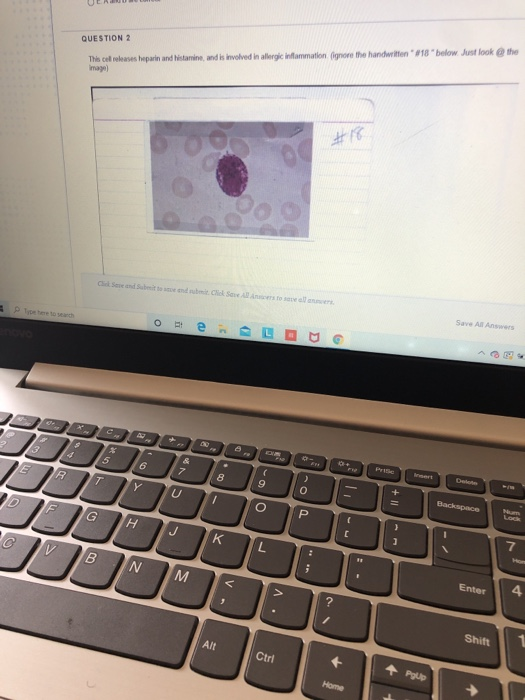 Solved QUESTION 2 This cel releases heparin and histamine,