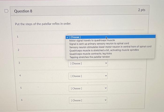 Solved Question 8 2 pts Put the steps of the patellar reflex | Chegg.com