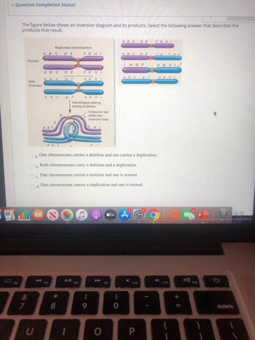 Solved Question Completion Status: The figure below shows an | Chegg.com