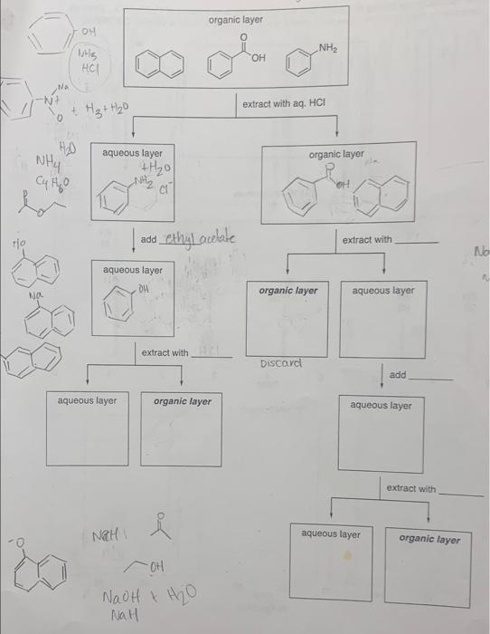 Solved Complete Acid-base Extraction To Seperate The 3 | Chegg.com