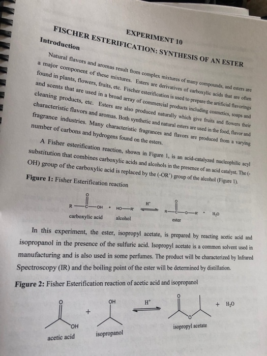 Solved Experiment 10 Fischer Esterification Synthesis Of An 6391