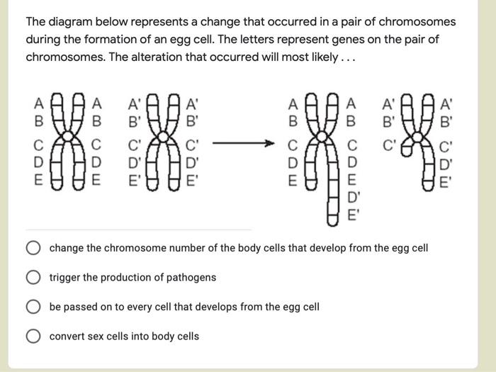 Solved The diagram below represents a change that occurred | Chegg.com