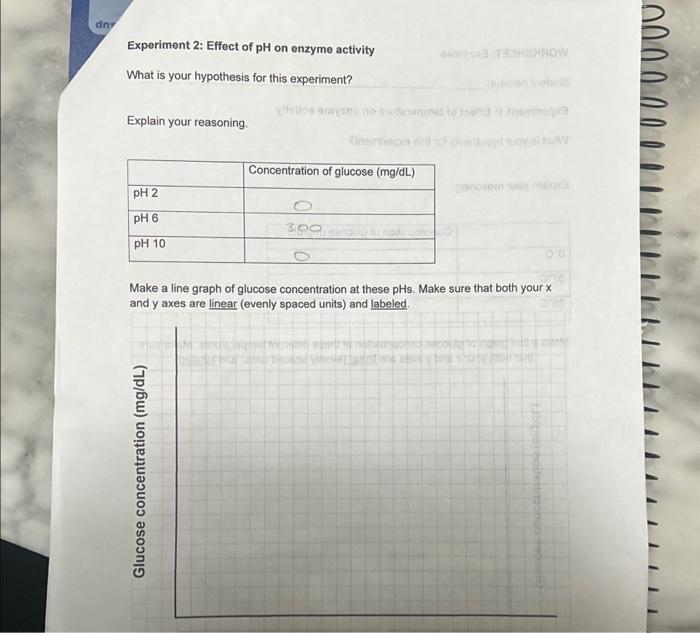 enzyme ph experiment