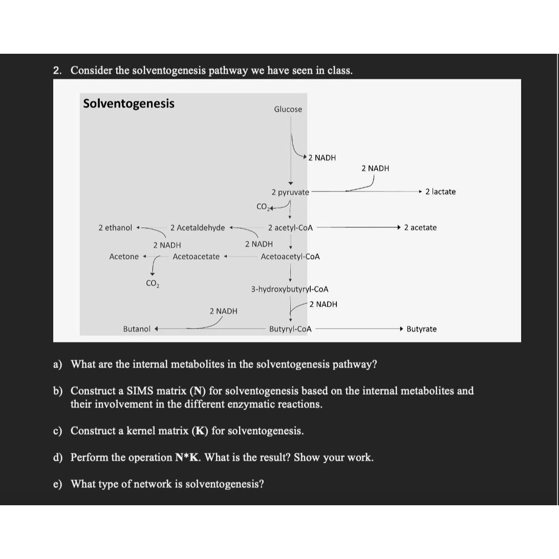 Solved • ﻿Consider the solventogenesis pathway we have seen | Chegg.com