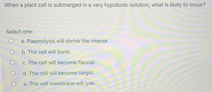 When A Plant Cell Is Submerged In A Very Hypotonic Chegg Com