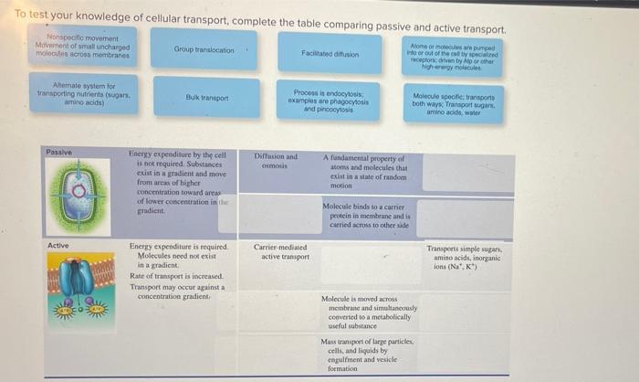 solved-to-test-your-knowledge-of-cellular-transport-chegg