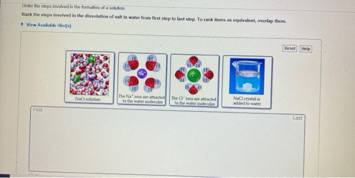 Solved Order the steps involved in the formation of a | Chegg.com