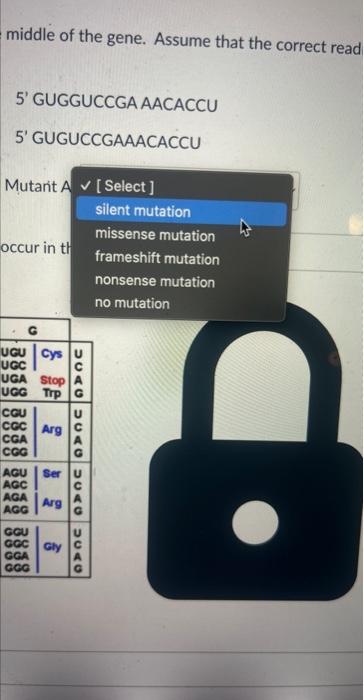 Solved Suppose there is a point mutation in the middle of | Chegg.com
