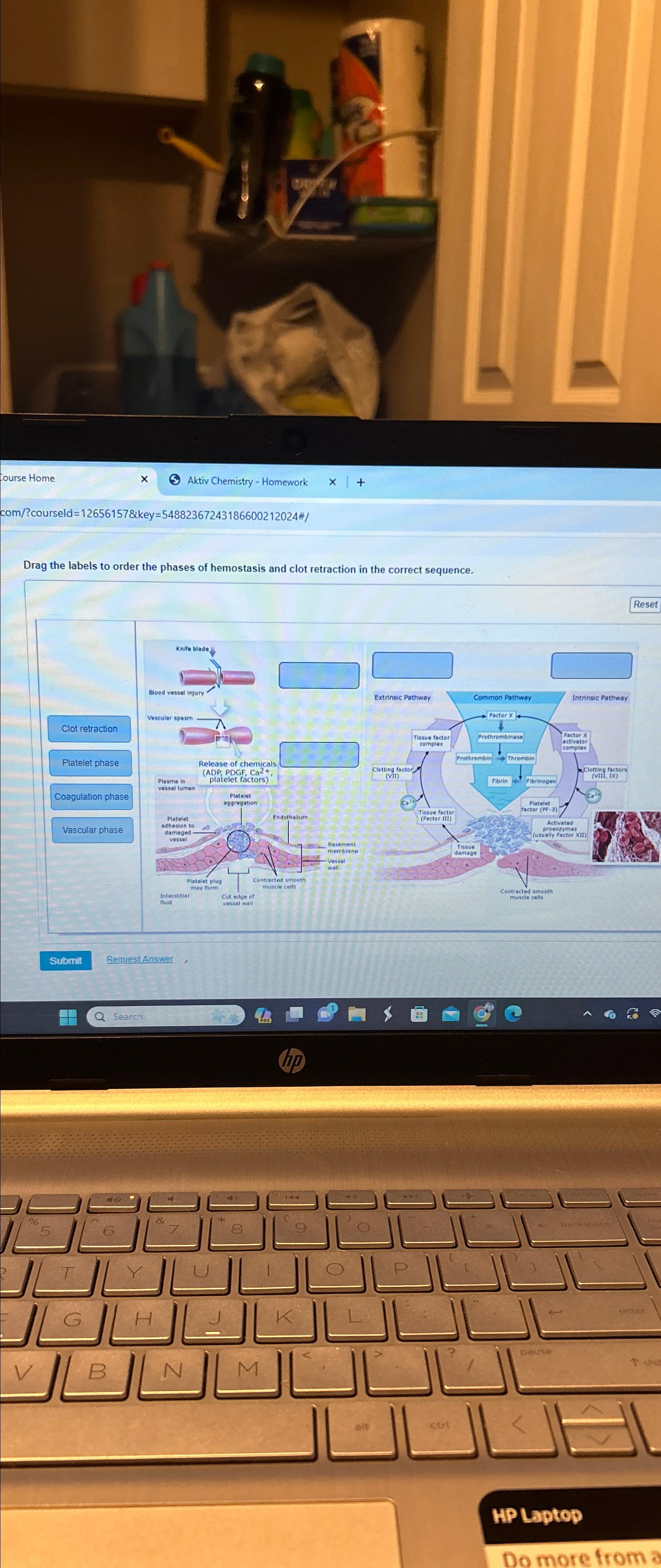 Schematic Illustrations Of Wound Healing Phases Consi vrogue.co