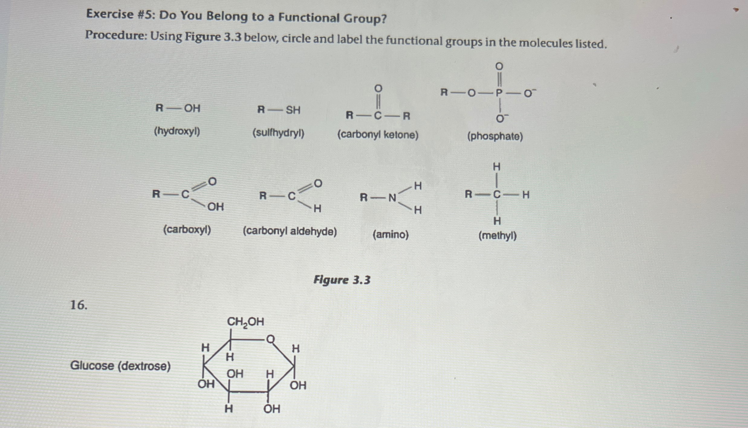 Solved Exercise #5: Do You Belong to a Functional | Chegg.com
