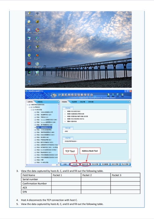 Jatr DRAEAERT 计算机网络实验教学平台 TCP Tool Address Book Tool 3. View the data captured by hosts B, C, and D and fill out the followin