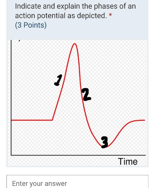 Solved Indicate and explain the phases of an action | Chegg.com