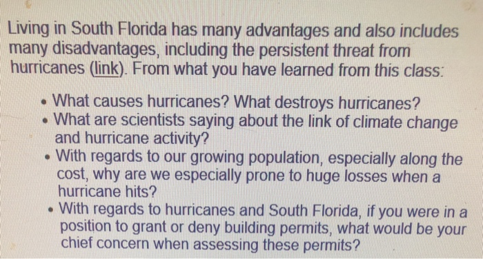 Essay advantage florida image