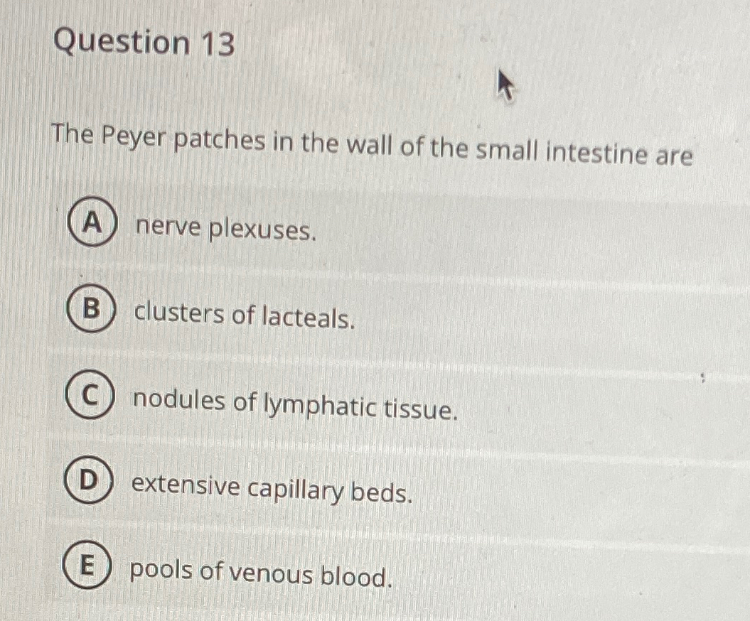 Solved Question 13The Peyer patches in the wall of the | Chegg.com