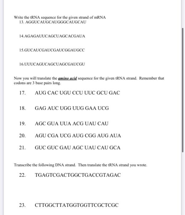Solved 1 of 4 DNA Base Pairing Worksheet There he performley | Chegg.com