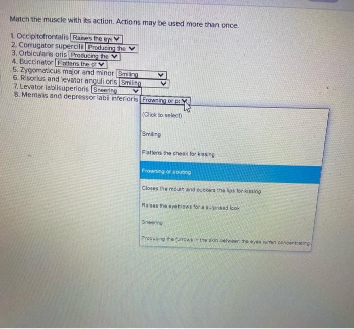 Solved Match the bulk movement with the muscles that assist