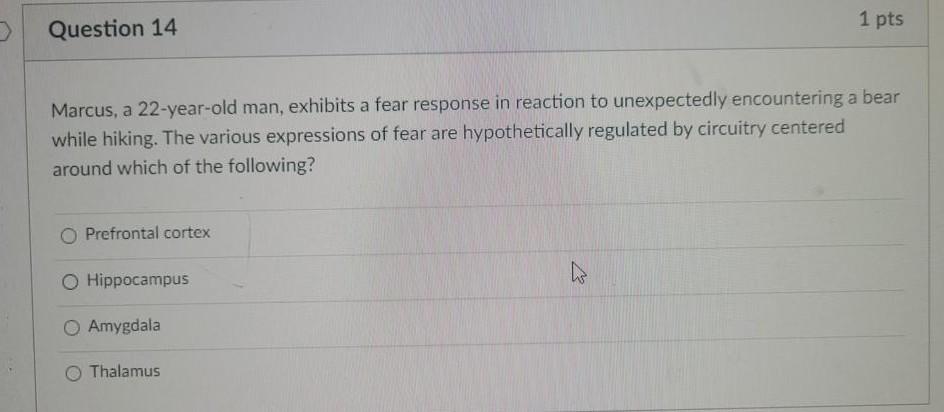 Solved Marcus, a 22-year-old man, exhibits a fear response | Chegg.com