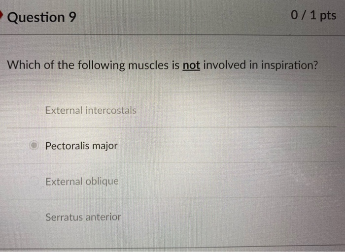 Solved Question 1 0/ 1 pts Which of the following statements | Chegg.com