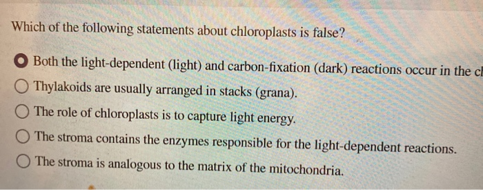 Which Of The Following Statements About Chloroplasts Is False