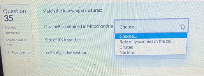 Solved Match the following structures: Organelle contained | Chegg.com