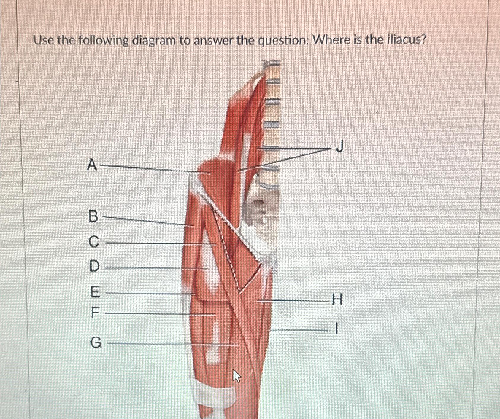 Solved Use The Following Diagram To Answer The Question