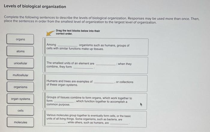 solved-levels-of-biological-organization-complete-the-chegg