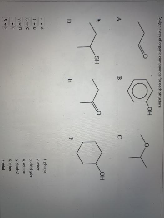 Solved Assign class of organic compounds for each structure | Chegg.com
