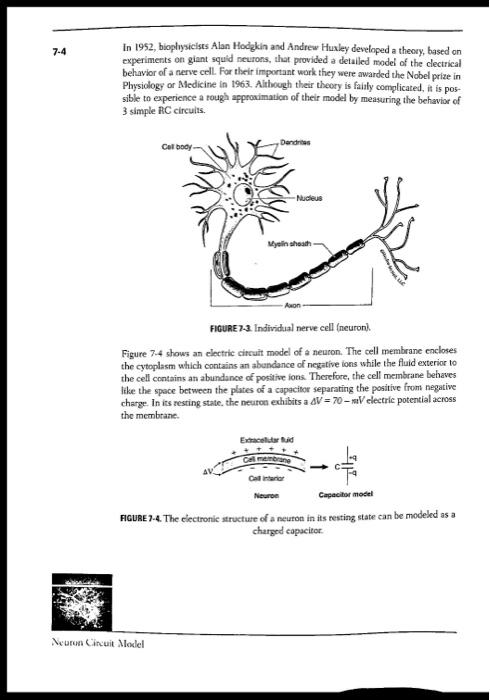 Solved Prelab 7: Neuron Circuit Model Name: 1. What is the | Chegg.com
