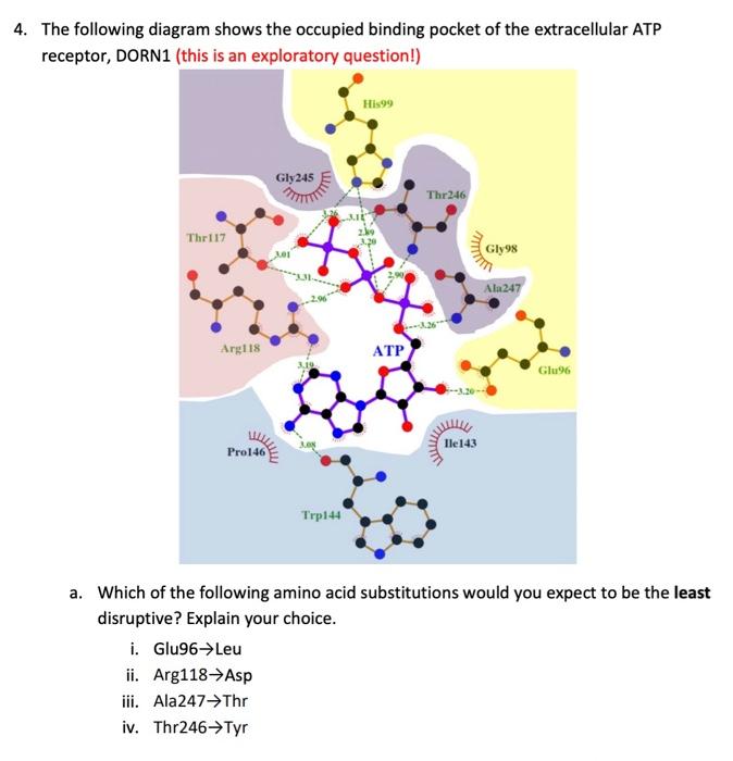 Solved The following diagram shows the occupied binding | Chegg.com
