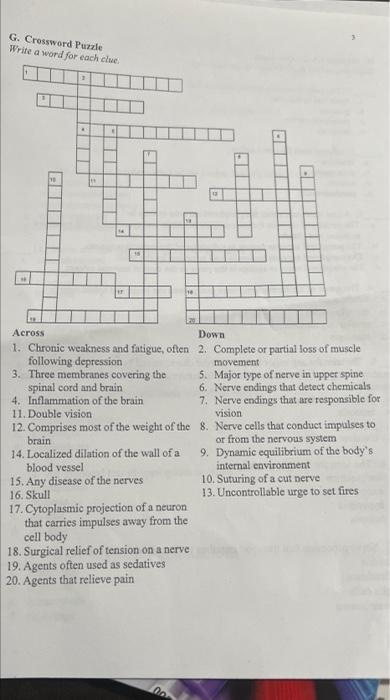 Solved G Crossword Puzzle Write a word for each clue 11 LI Chegg com